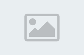 New York University Acceptance Rate 2025